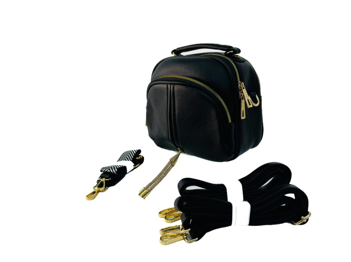 Cartera Modelo Multi Chic